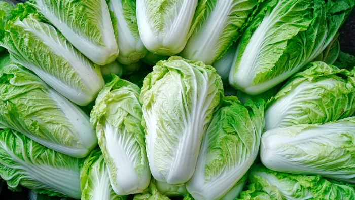 How to cook bok choy korean style